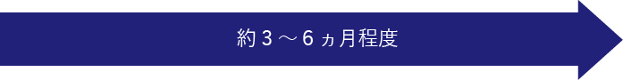 約3～6ヵ月程度