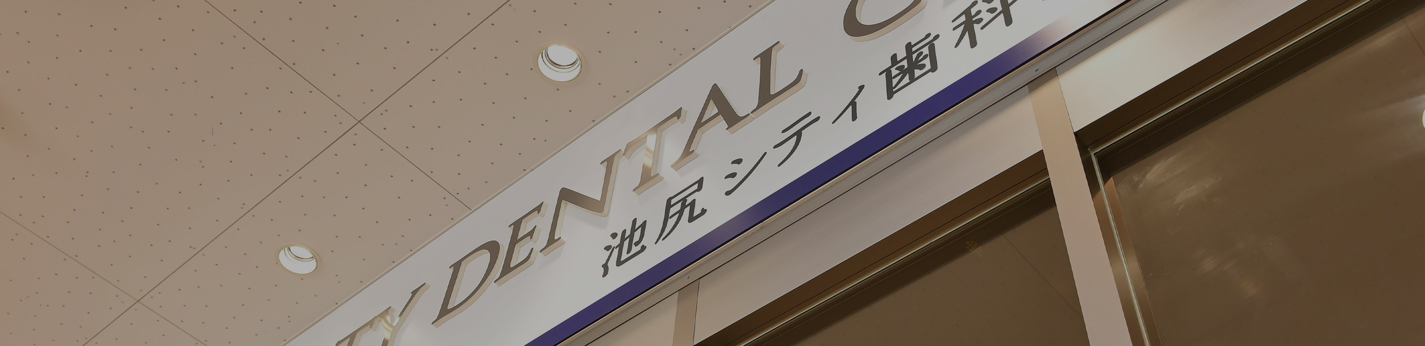 スタッフ紹介