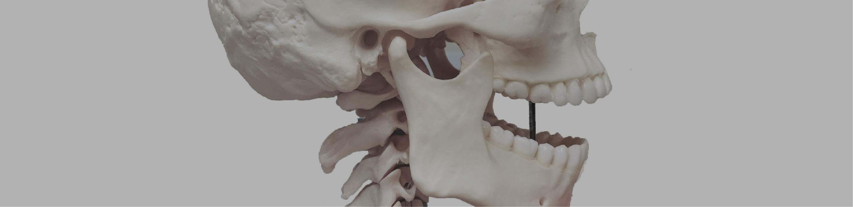 歯科口腔外科